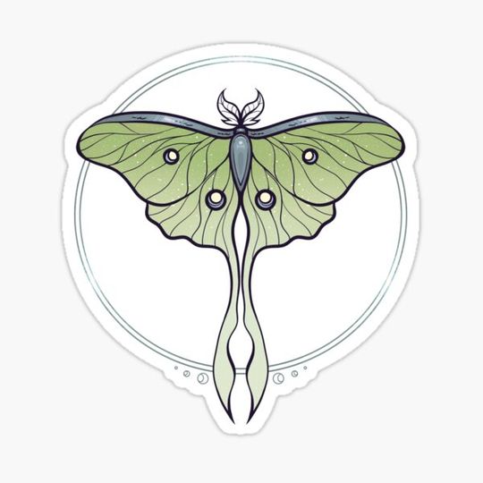 Discover Silver Galaxy Luna Moth (green)