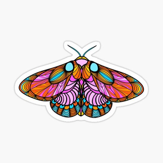 Discover Bubblegum Pop Moth Bold