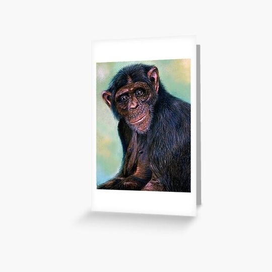 Discover Ape