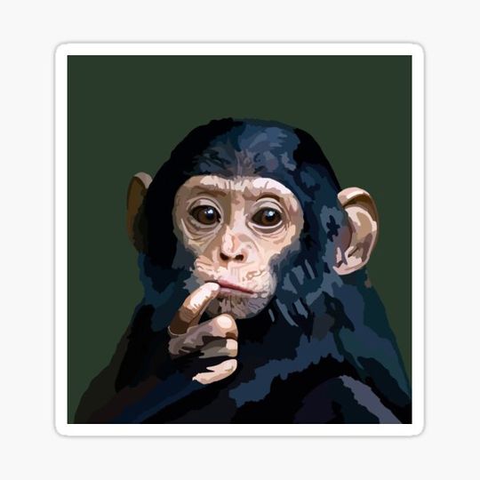 Discover Chimpanzee