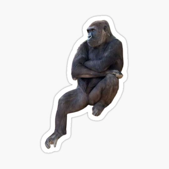 Discover The pensive monkey.