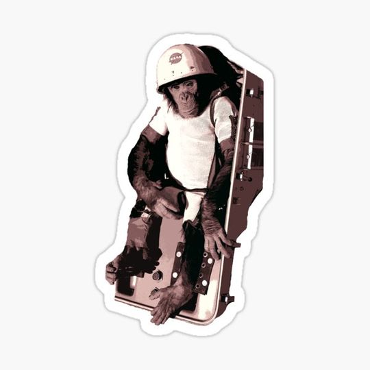 Discover Space Chimp