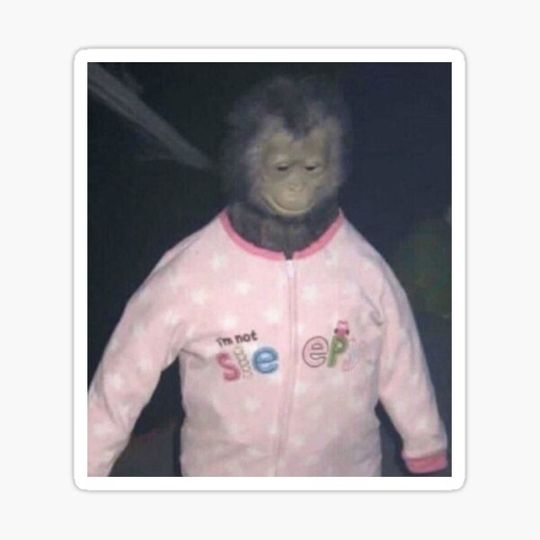 Discover I'm not sleepy monkey