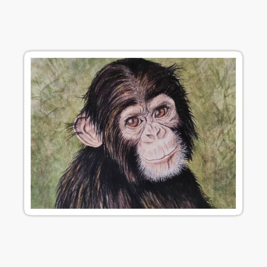 Discover Watercolor: Chimpanzee