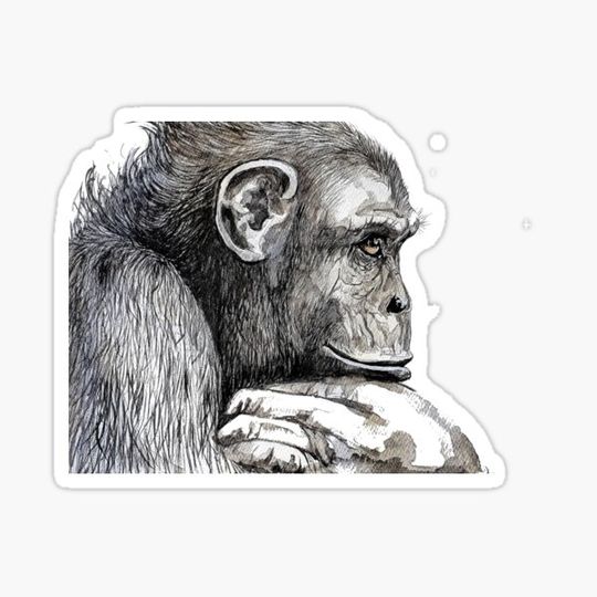 Discover Thinking