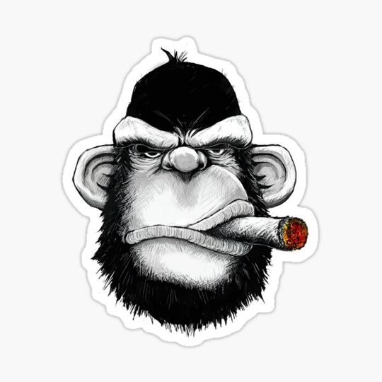 Discover Swag Ape