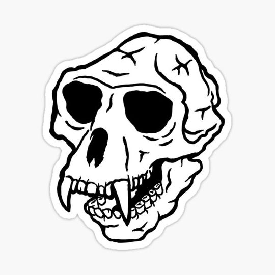 Discover Monkey skull