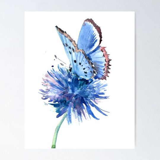 Discover Blue Butterfly and Blue Flower