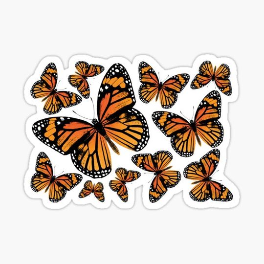 Discover Monarch Butterflies | Monarch Butterfly | Vintage Butterflies | Butterfly Patterns |