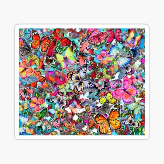 Discover Butterfly Collection