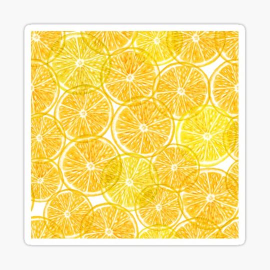 Discover Orange transparent slices. Summer tropical translucent citrus fruits.