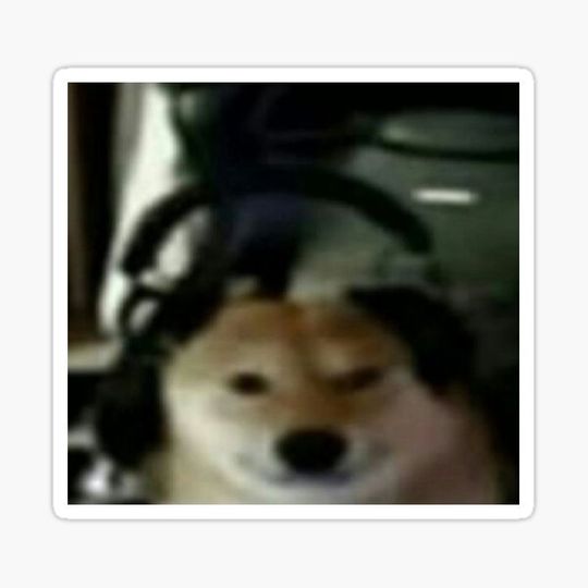 Discover *Headphones*