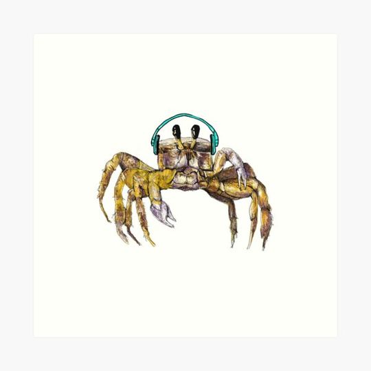 Discover Crab wearing headphones - curious sea creature