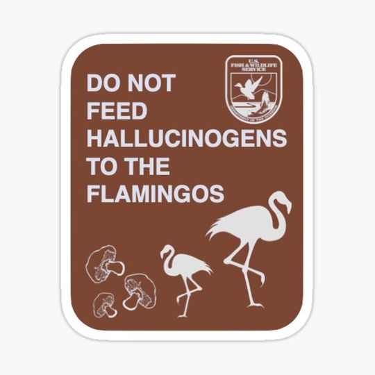 Discover Do Not Feed Hallucinogens to the Flamingos