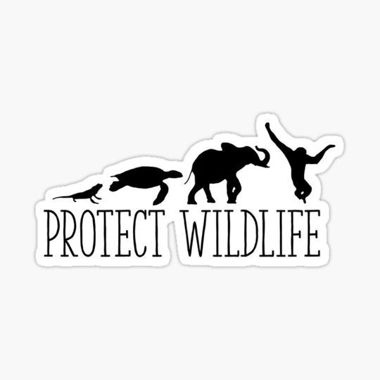 Discover Protect Wildlife