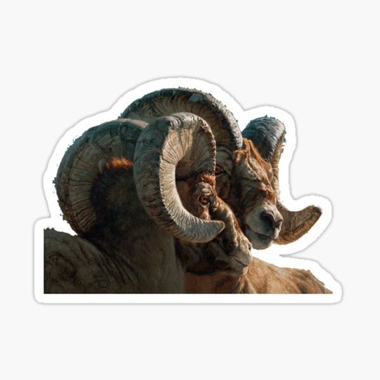Discover Whiskey Mountain Boys Cutout