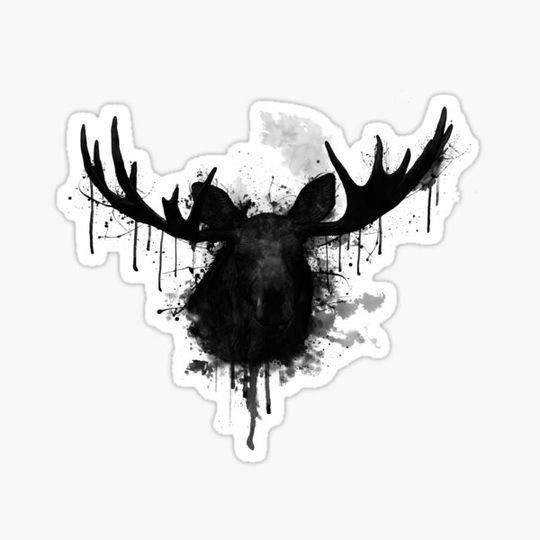Discover Moose