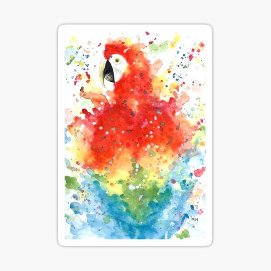 Discover Scarlet Macaw