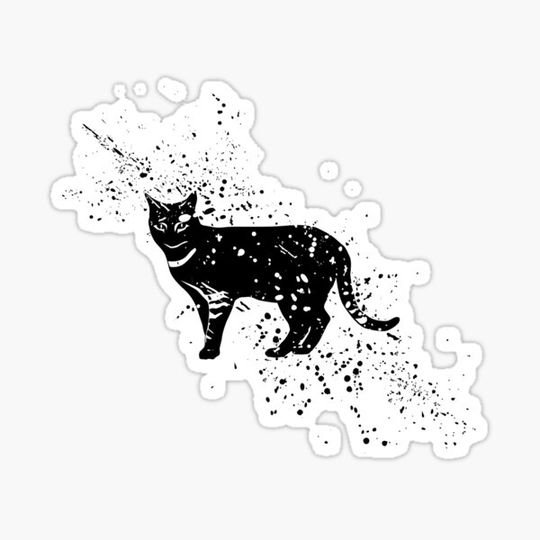 Discover Cat