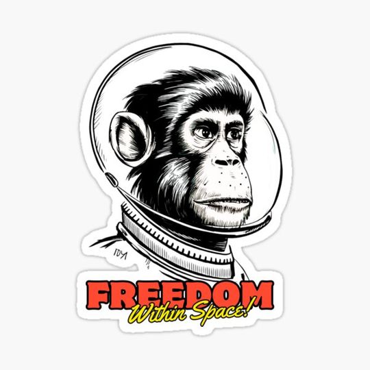 Discover Monkey's Journey in Space