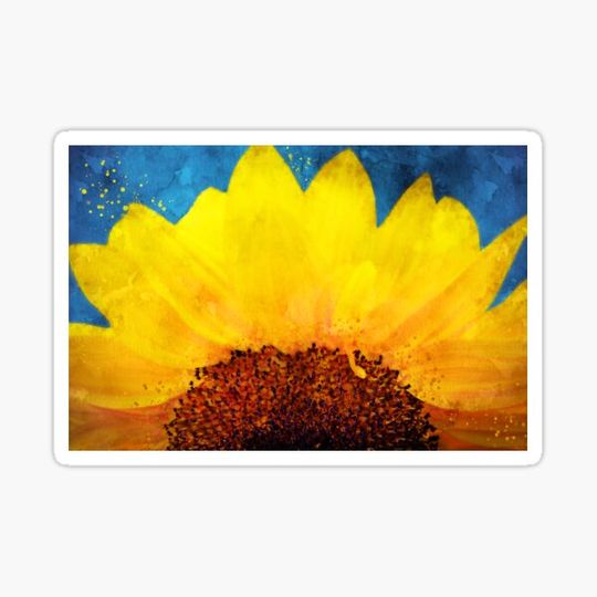 Discover Partial sunflower on blue background