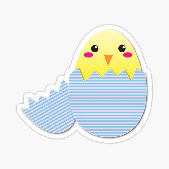 Discover Super cute chicken in a broken egg