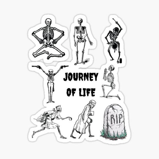 Discover Journey of Life-Birth,chill and die