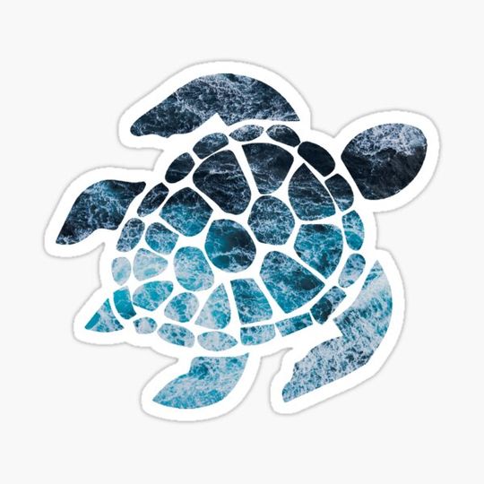 Discover Ocean Waves Sea Turtle