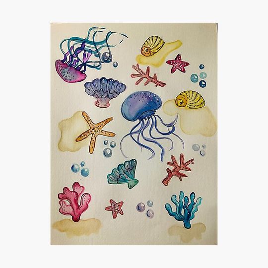 Discover Under the Sea