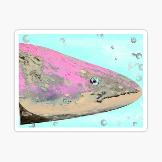 Discover Fish