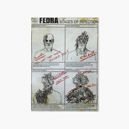 Discover Fedra Stages of infection