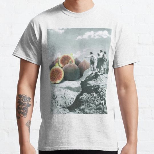 Discover Fig dreams
