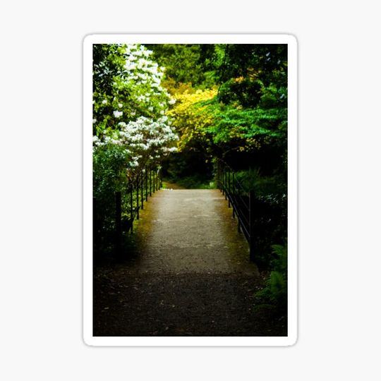 Discover Lonely bridge