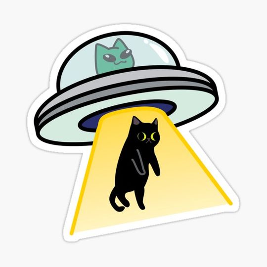 Discover Cat UFO