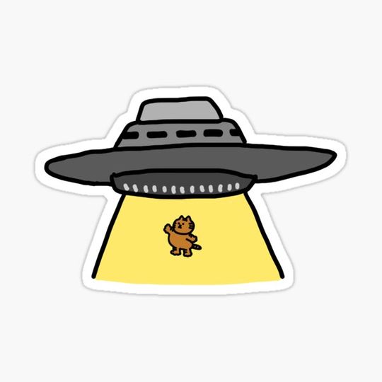 Discover UFO and the Cat