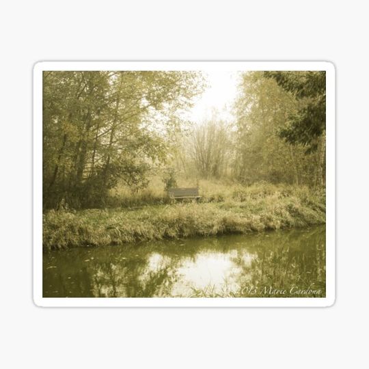 Discover Creative Solitude