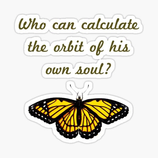 Discover Who Can Calculate The Orbit