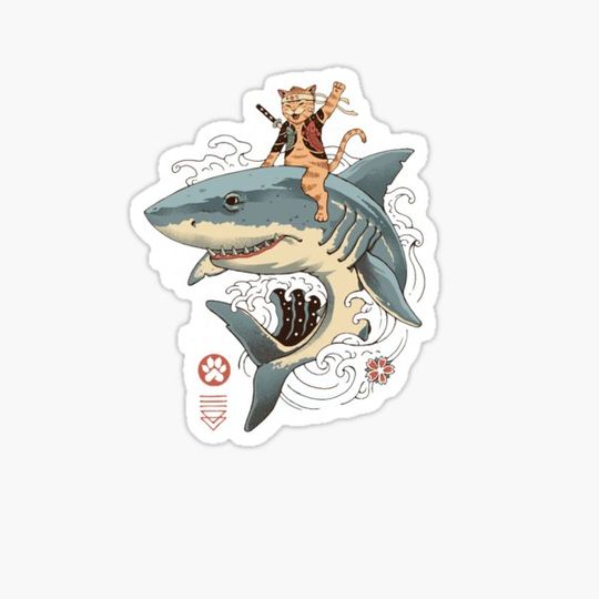 Discover Catana Shark