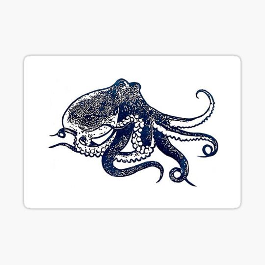 Discover Cephalopoda