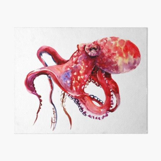 Discover Tropical Red Octopus