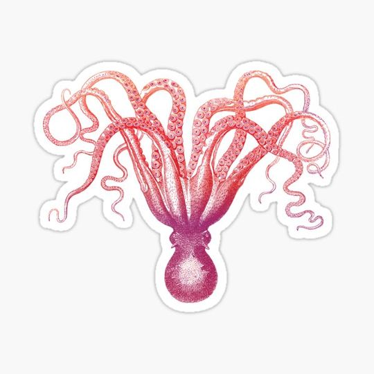 Discover Vintage Ombre Octopus Sticker