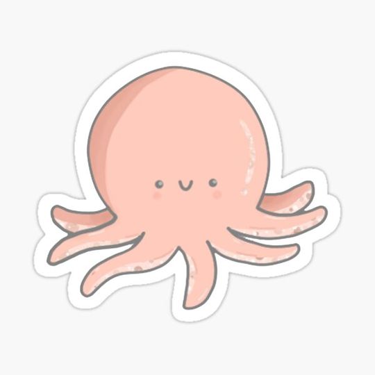 Discover Octopus