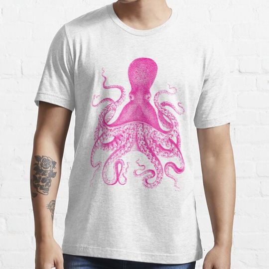 Discover Octopus