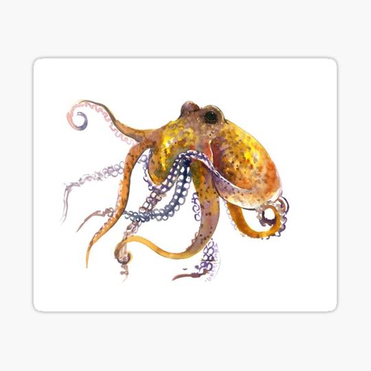 Discover Octopus, Yellow Orange home decor