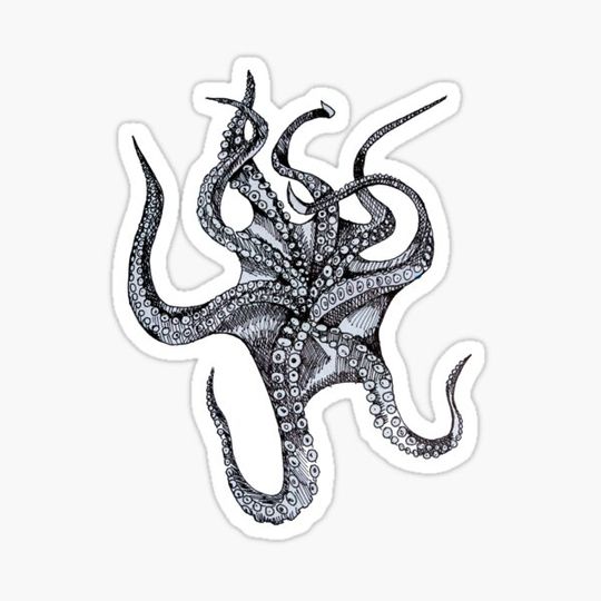 Discover Octopus