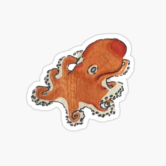 Discover Octopus (without label)