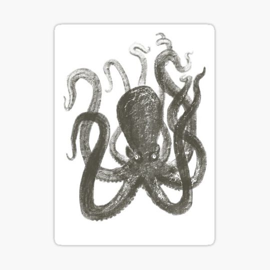 Discover Octopus