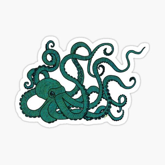 Discover Octopus