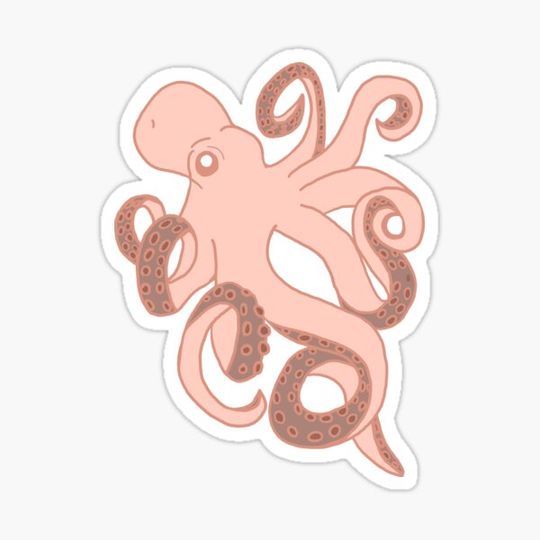 Discover Octopus
