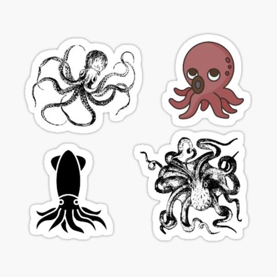Discover funny octopus
